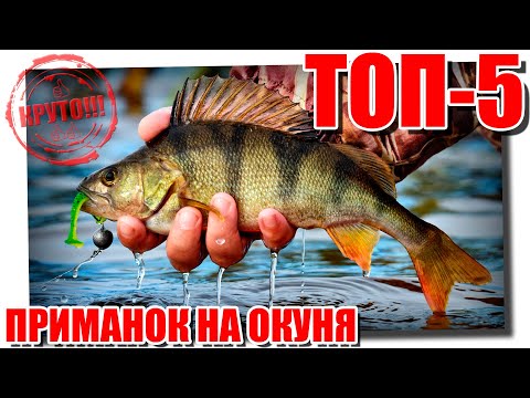 Видео: Приманки на окуня с Алиэкспресс. ТОП-5