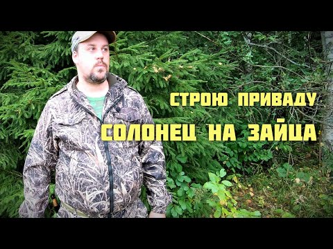 Видео: Строю приваду. Солонец на зайца.