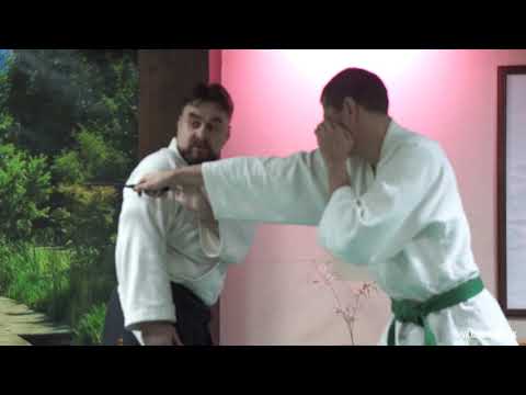 Видео: Шаблов Виталий - Пекити Тирсия Кали