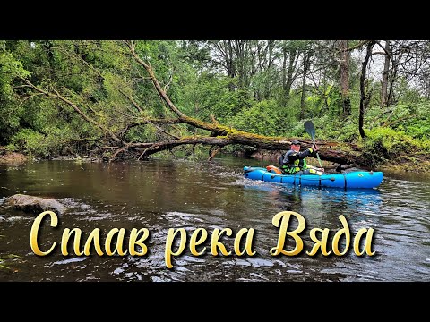 Видео: Сплав река Вяда Июнь 2025г 2-я часть