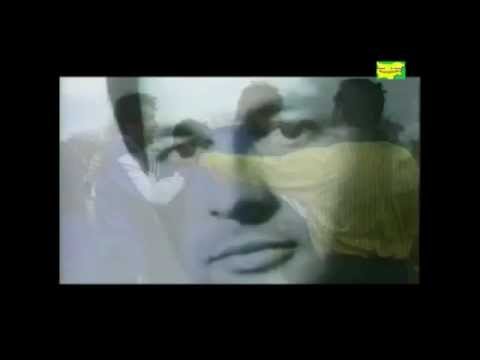 Видео: Песен за Гунди  Song for Gundy !