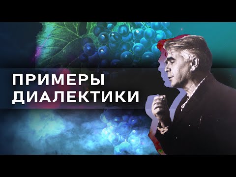 Видео: Примеры диалектики // Зелёный виноград диалектики №12