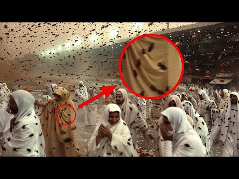 Видео: Случаи в Природе Снятые На камеру