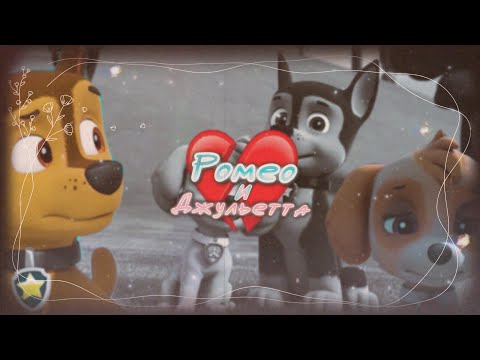 Видео: Гончик и Скай-Ромео и Джульетта(Совместно с @Letto4ka3 )