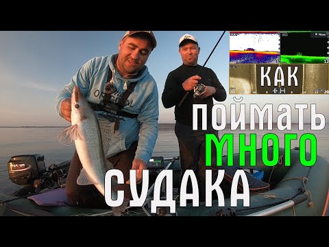 Видео: Судак. Осенний ЖОР. Ловля судака на каждом забросе. Как поймать судака? Рыбалка с лодки