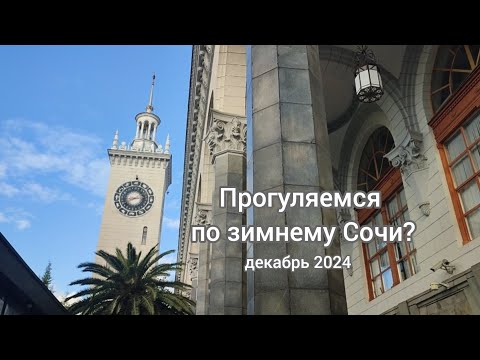 Видео: Прогулка по зимнему Сочи. Декабрь 2024