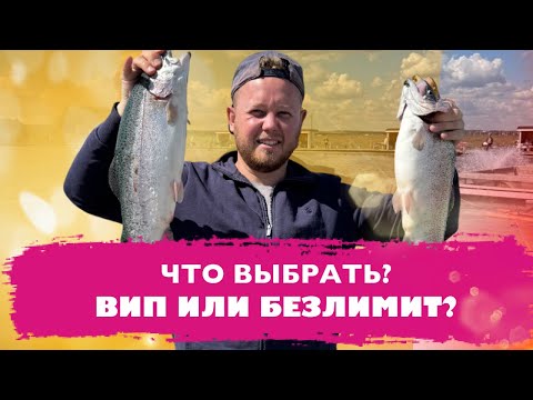 Видео: #14 ЛОВЛЯ ФОРЕЛИ НА КРАБОВУЮ ПАЛОЧКУ. ОСНАСТКА КОТОРАЯ КОСИТ РЫБУ НА КАЖДОМ ЗАБРОСЕ. РК ЯЗЬ