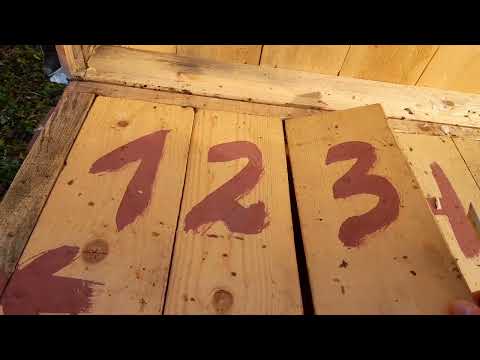 Видео: Як оприділити, чи добре пройде зимівля бджіл? І на, що звертати увагу при огляді сімей?