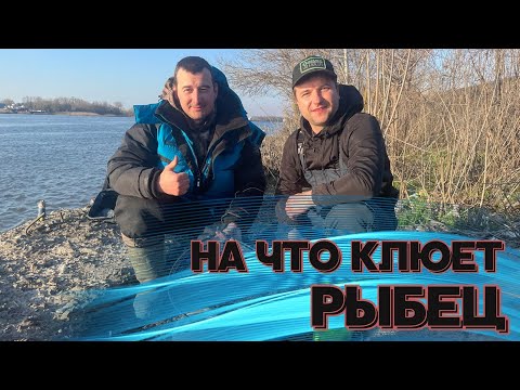 Видео: КАК СОБРАТЬ НА ТОЧКЕ РЫБЦА? ЧТО ДЛЯ ЭТОГО НУЖНО? (+и-) РЫБАЛКА И ОТДЫХ В КРУГУ ДРУЗЕЙ. РЫБАЛКА 2023