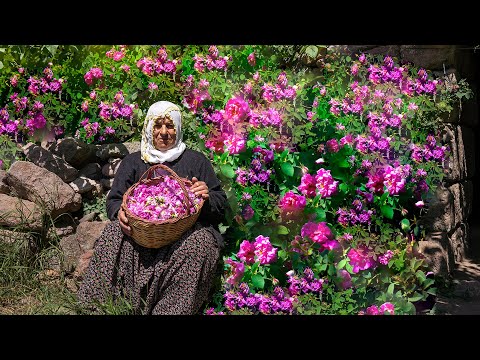 Видео: Что можно сделать с цветами, растущими у нашего порога? — Жизнь в каменном доме