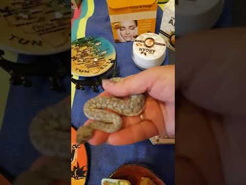 Видео: Что привезти из Туниса.