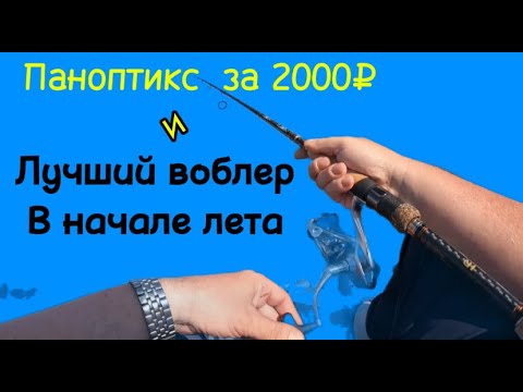 Видео: Лучший воблер на щуку!