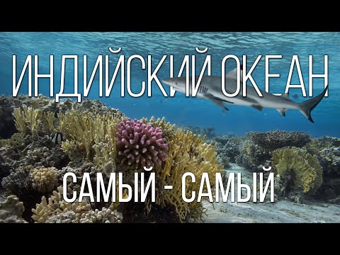 Видео: Индийский океан: Чемпион в Мире Рекордов | Интересные факты про Индийский океан