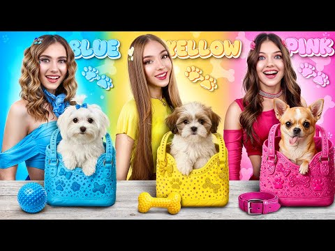 Видео: Секретная Комната в Одном Цвете Для Собак! Мы Нашли Бездомных Щенков