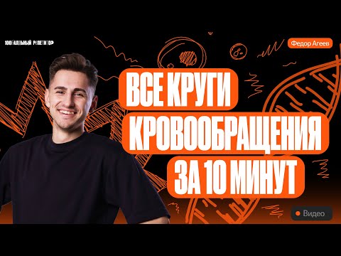 Видео: Все круги кровообращения за 10 минут | ОГЭ по биологии | 100балльный