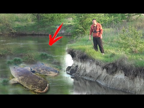 Видео: НАШЛИ СОМОВЬЮ ЯМУ на РЫБАЛКЕ!!! ЛОВЛЯ СОМА на вечерней зорьке! Рыбалка на Северском Донце