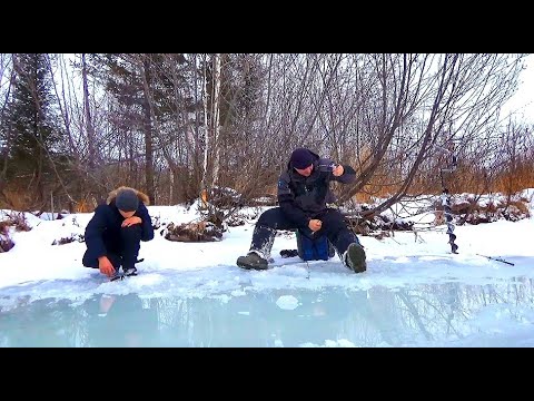 Видео: ОНИ МЕНЯ ДОМОЙ НЕ ОТПУСКАЮТ!!! ДУБАСИМ С НИКОЛАЕВИЧЕМ ХАРЮЗЕЙ НА ТАЁЖНОЙ РЕКЕ!!!