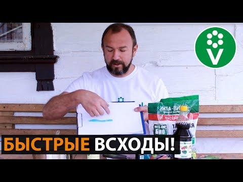 Видео: ХИТРЫЙ СПОСОБ посева моркови! Забудьте о прореживании, болезнях и вредителях!