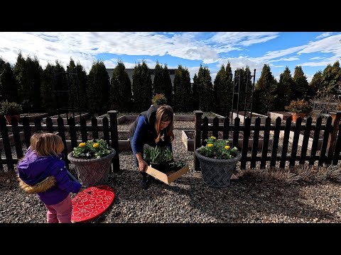 Видео: Первые весенние контейнеры и уборка клумб! 🌼🌿✂️ // Garden Answer