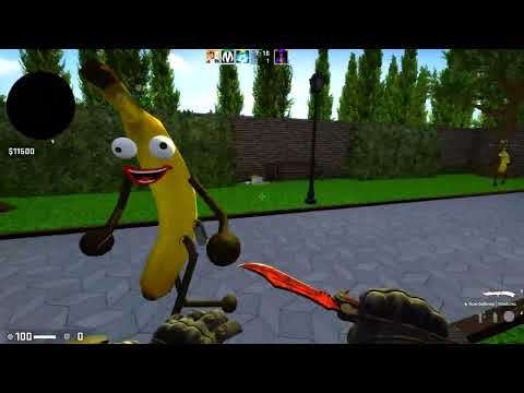 Видео: ЗРЯ ПОВЕРИЛ ЕМУ, ОН ТРОЛЛЬ!!! УГАРНЫЙ МАНЬЯК В CS:GO!!!