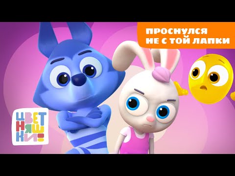Видео: Проснулся не с той лапки | Эмоции для детей | Цветняшки мультики