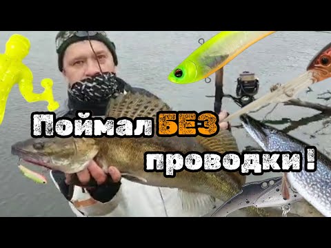 Видео: Судак без проводки. Такое вообще возможно?