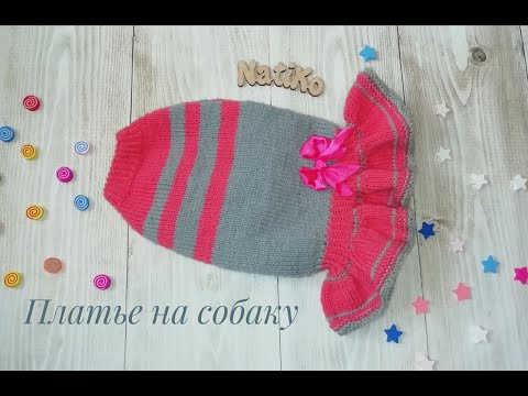 Видео: Платье для собаки спицами