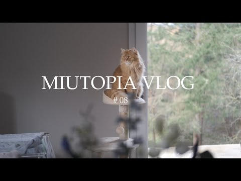 Видео: Медленная жизнь с котами: Круассан и салат 🌲 Волшебный лес | Miutopia Story 08