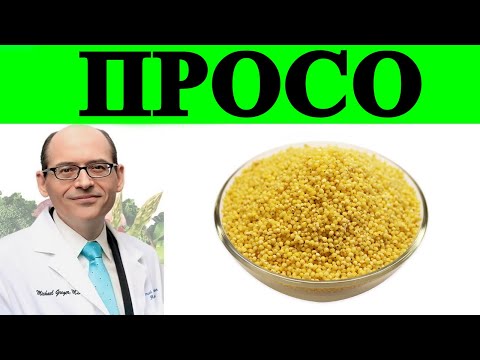 Видео: Исследования по употреблению просо: является ли оно полезным зерном? Доктор Майкл Грегер