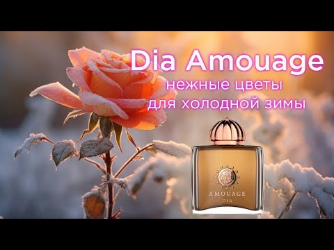 Видео: Dia Woman Amouage: нежный парфюм для холодной зимы