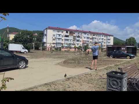 Видео: Не так страшен потоп, как последствия после него/Новомихайловский август 2025