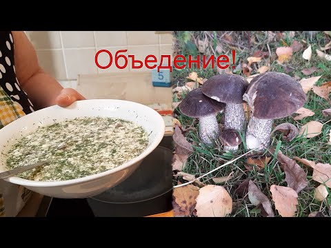 Видео: Самый вкусный суп из подберезовиков. Фирменный рецепт. / № 14