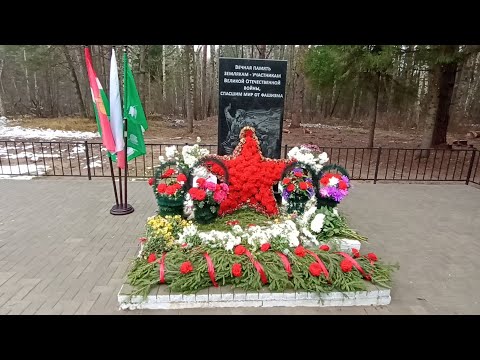 Видео: Открытие мемериала ВОВ село Закрутое