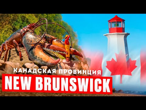 Видео: Нью-Брансуик — плюсы и минусы жизни: честный обзор!