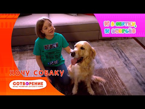 Видео: Хочу собаку. Киноальманах "И в шутку, и всерьез".