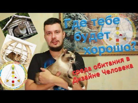 Видео: Где тебе будет хорошо жить? Среда обитания по системе Дизайн Человека.
