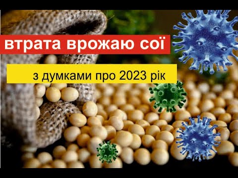 Видео: Як вирощувати сою від 4 т/га.  Протруювання