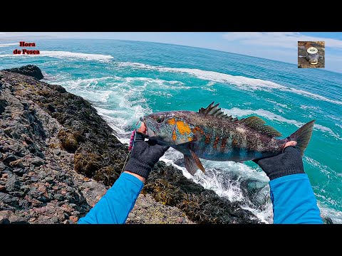 Видео: Эпический улов в самый неподходящий момент! Я потерял удочку из-за гигантской малька.