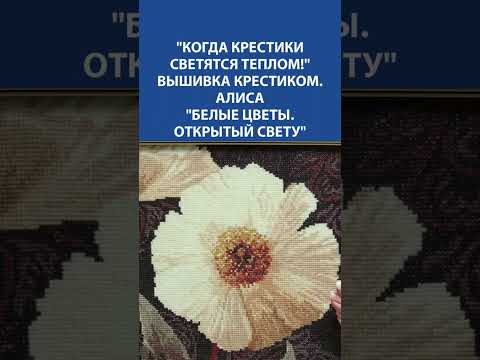 Видео: Когда крестики светятся теплом ✨ Вышивка Алиса “Белые цветы. Открытый свету” вдохновляет
