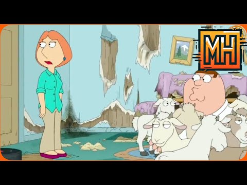 Видео: ГРИФФИНЫ - МАРАФОН I САМЫЕ ЛУЧШИЕ И СМЕШНЫЕ МОМЕНТЫ