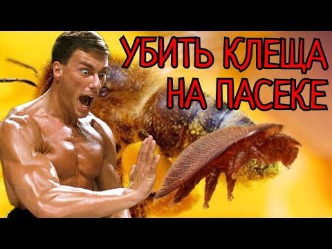 Видео: УНИЧТОЖЕНИЕ КЛЕЩА, ВАРРОАТОЗ ЧЕМ ПОБЕДИТЬ.вечный испаритель Дюкаревых.
