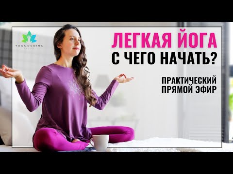 Видео: Легкая ЙОГА. С чего НАЧАТЬ ЗАНИМАТЬСЯ йогой? (Прямой эфир)