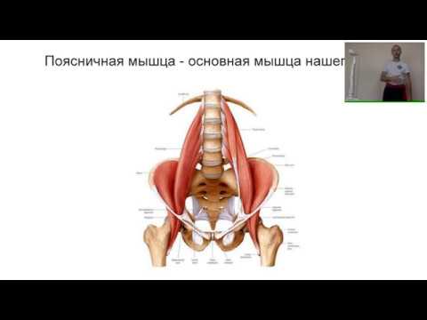 Видео: Вебинар: Здоровая спина; Как избавиться от болезней спины