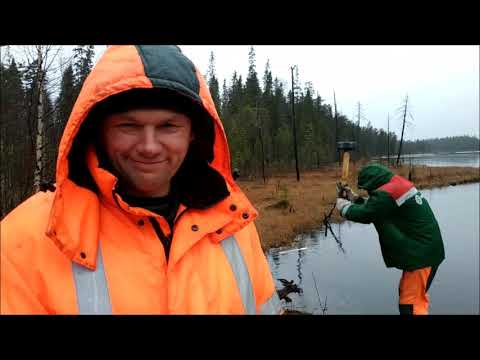 Видео: СТРОИМ МОСТ ЧЕРЕЗ РЫБНУЮ РЕЧКУ!!!