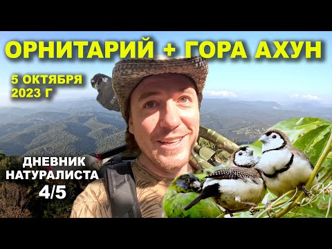Видео: Орнитариум. Гора Ахун. Сочи. 5 октября 2023 г. Дневник натуралиста 4-й из 5.