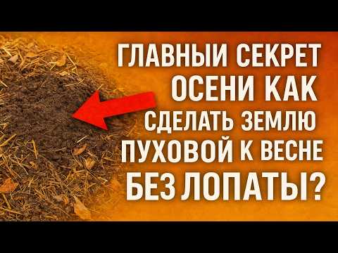 Видео: 🤫 Главный Секрет Осени: Как сделать землю ПУХОВОЙ к весне БЕЗ ЛОПАТЫ?