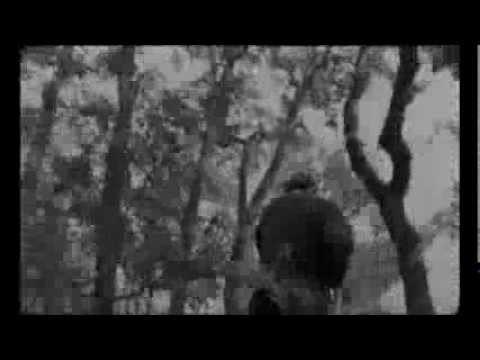 Видео: Берген Кремер — Гроза