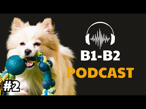 Видео: Подкаст Английское аудирование B1-B2 | PETS