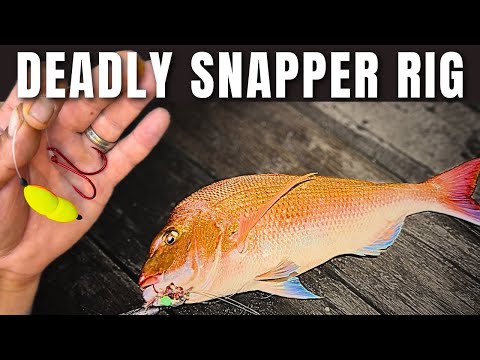 Видео: ЛУЧШАЯ оснастка для ловли снаппера на камнях и пляже ✅
