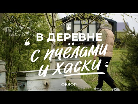 Видео: Жизнь в деревне: сколько стоит каркасный дом, как завести пчёл и содержать стаю хаски / Sewera